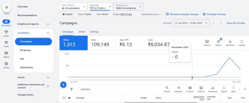 Google ads case study