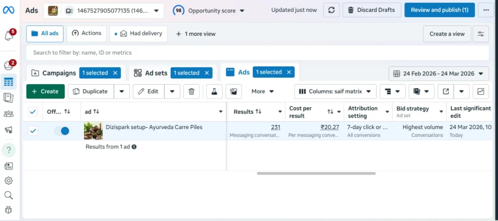 Meta ads case study

